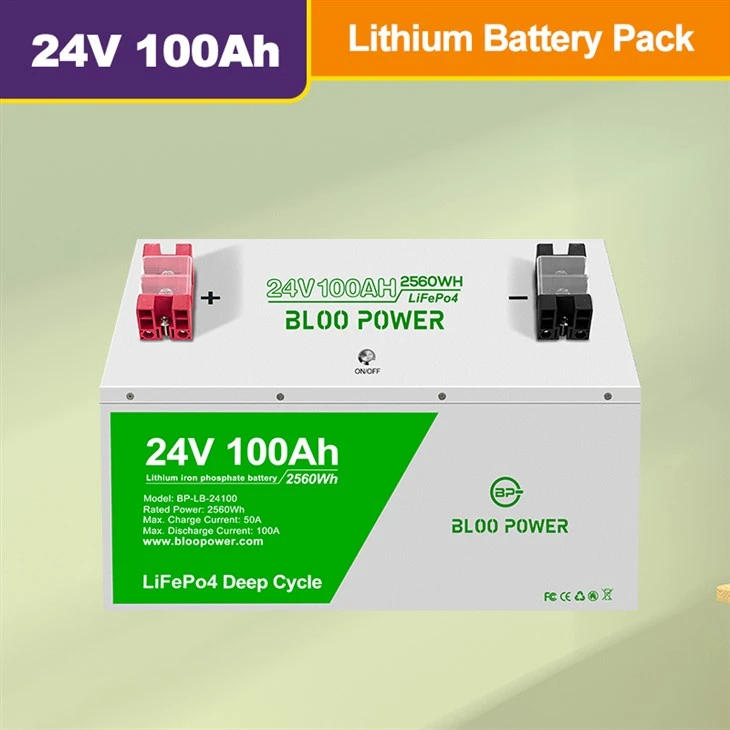 10 Years Lifespan 24V Lithium Solar Battery With 6000+ Deep Cycles