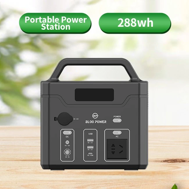 Portable Power Bank Station 300W