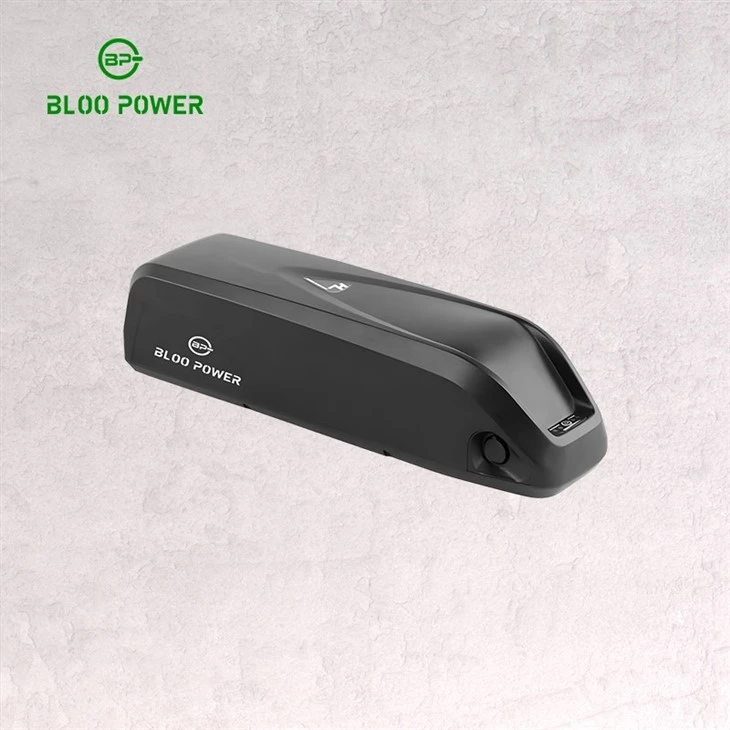 2 wheels electric bike power supply